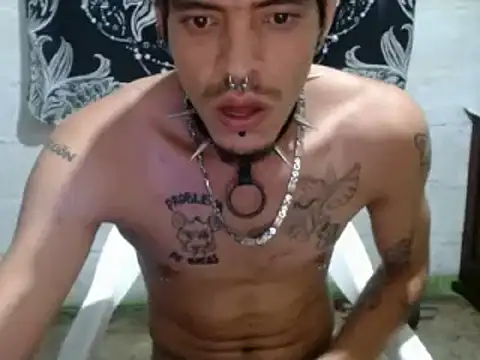 tayler punk noise online show from 12/27/24, 07:14