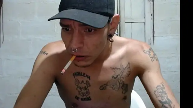 tayler punk noise online show from 01/11/25, 12:12