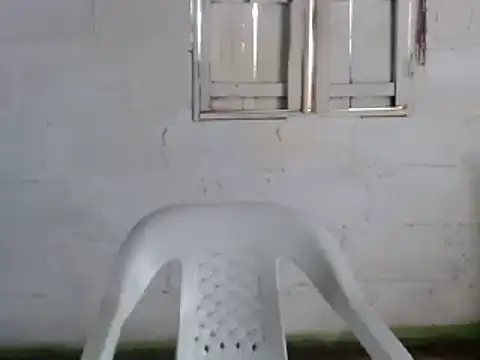 tayler punk noise online show from 12/31/24, 03:42