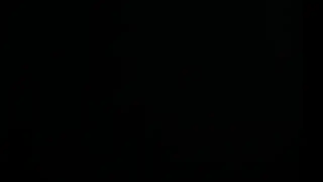 tayler punk noise online show from 01/08/25, 06:41