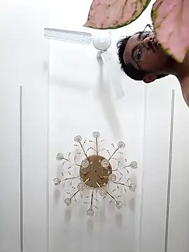 Choco brownie23 online show from 02/03/25, 07:07