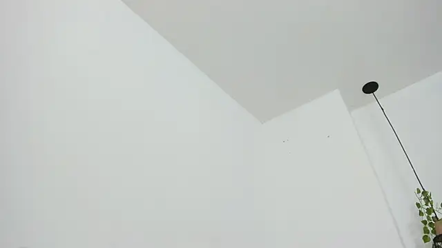 RaidenBoy1 online show from 02/05/25, 08:35