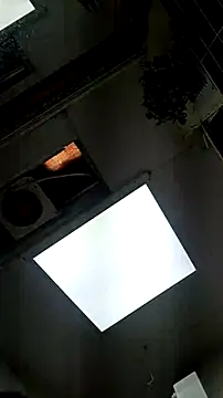 tula chyk online show from 02/11/26, 02:39