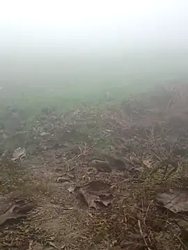 imissyoumylove14 online show from 01/17/26, 01:31