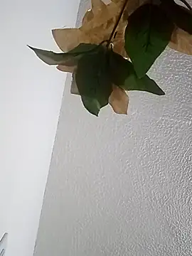 Naomy veracruz  online show from 02/13/26, 10:59