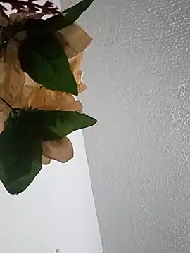 Naomy veracruz  online show from 02/24/26, 10:05