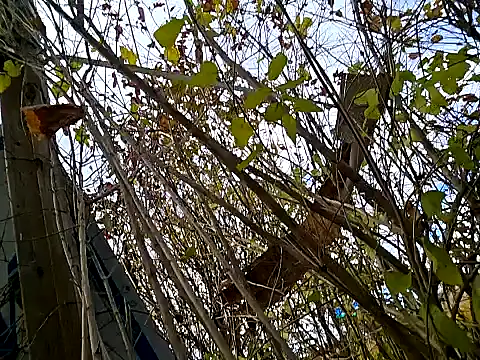 Fuckboy4public online show from 11/06/25, 05:39