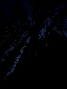 Fuckboy4public online show from 11/20/25, 09:58