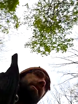 Fuckboy4public online show from 10/31/25, 09:32