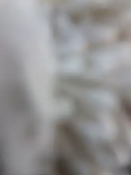 lemon69Reo online show from 02/15/26, 08:41