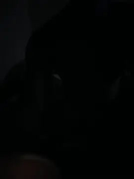 Bignc online show from 03/27/26, 11:33