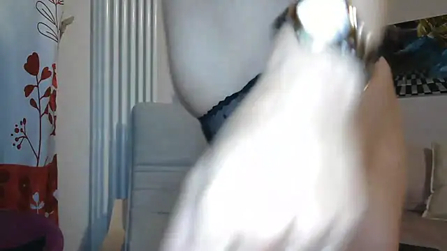 Snapshot of MISXY chatting on 09/12/25, 08:36 MISXY online show from 09/12/25, 08:36