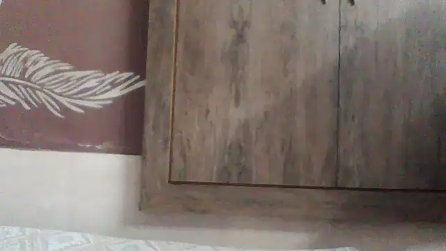 shalini fire online show from 12/02/25, 11:01