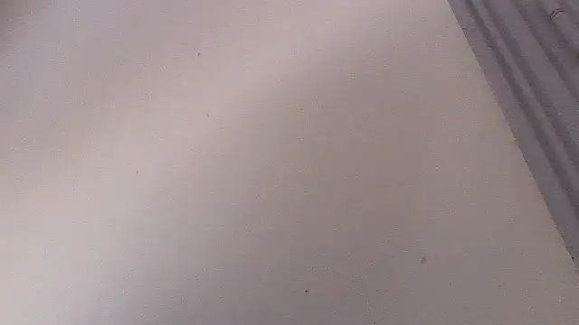 Snapshot of Frozenx chatting on 02/15/26, 11:20 Frozenx online show from 02/15/26, 11:20