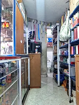 nidia2026 online show from 12/22/25, 03:56