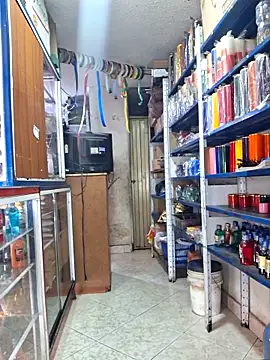 nidia2026 online show from 11/15/25, 01:59