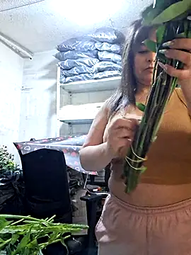 nidia2026 online show from 05/15/26, 04:16
