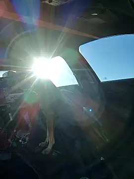 Snapshot of DatingProfile_USA_43_str8 chatting on 10/06/25, 03:35 DatingProfile USA 43 str8 online show from 10/06/25, 03:35