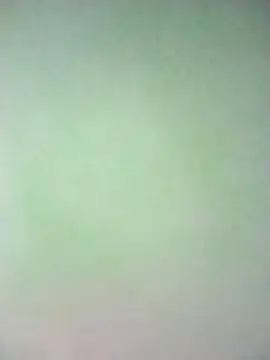 Lorrain Dorrie online show from 02/26/25, 12:38