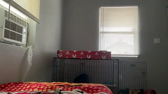 Snapshot of skarfosbabes69 chatting on 03/23/26, 01:00 skarfosbabes69 online show from 03/23/26, 01:00