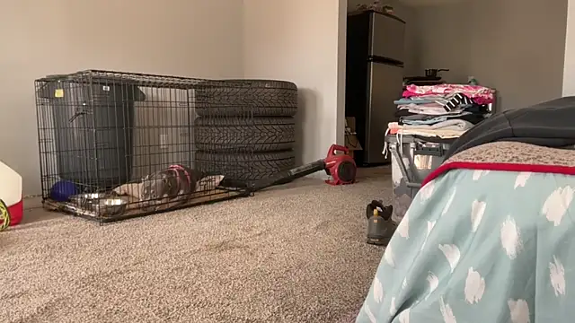 Snapshot of skarfosbabes69 chatting on 03/20/26, 04:30 skarfosbabes69 online show from 03/20/26, 04:30