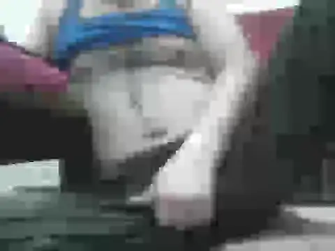 samee00721 online show from 09/15/25, 04:40