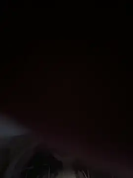 Snapshot of shyfr34k chatting on 12/29/24, 04:27 shyfr34k online show from 12/29/24, 04:27