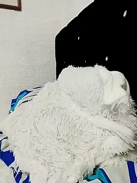 ElizabethWeil online show from 12/15/25, 03:18