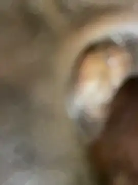 Snapshot of GangsterCouple-Aimy-Jonny chatting on 02/10/26, 12:53 GangsterCouple-Aimy-Jonny online show from 02/10/26, 12:53