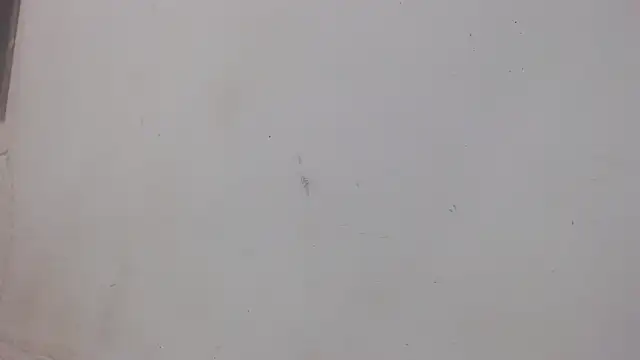 danilo302209 online show from 02/01/25, 01:02