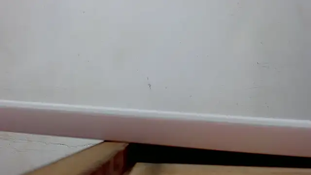 danilo302209 online show from 03/10/25, 10:39