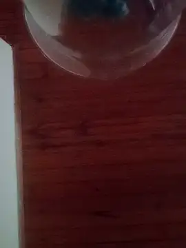 Darly Gomez online show from 02/17/25, 10:16