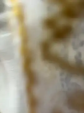 Snapshot of HoneyBearCpl chatting on 10/29/25, 03:33 HoneyBearCpl online show from 10/29/25, 03:33