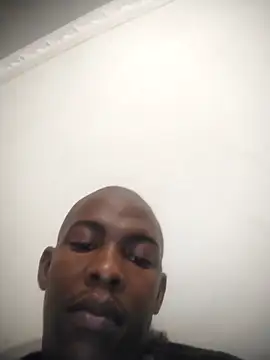 zuludog online show from 04/21/26, 11:33
