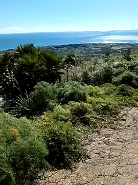 Samira-Summer online show from 02/22/26, 10:17