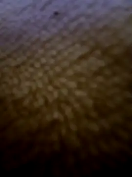 houy111111 online show from 02/03/26, 05:51