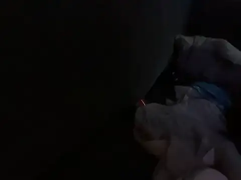 Snapshot of houy111111 chatting on 10/18/25, 04:53 houy111111 online show from 10/18/25, 04:53