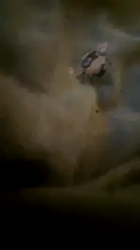 Snapshot of houy111111 chatting on 09/23/25, 06:48 houy111111 online show from 09/23/25, 06:48