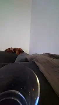 Snapshot of houy111111 chatting on 10/22/25, 10:19 houy111111 online show from 10/22/25, 10:19