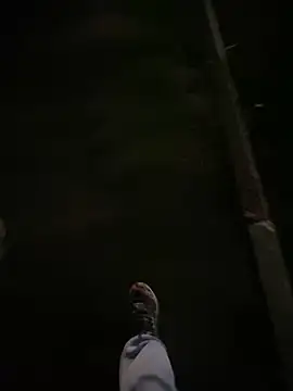 Snapshot of Lahcene chatting on 11/20/25, 06:30 Lahcene online show from 11/20/25, 06:30