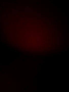 Snapshot of Kajaldx chatting on 03/17/25, 04:19 Kajaldx online show from 03/17/25, 04:19