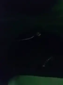 Snapshot of thanos65432 chatting on 03/18/26, 05:32 thanos65432 online show from 03/18/26, 05:32