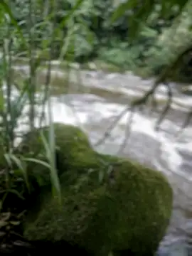 Snapshot of adam-rivera chatting on 11/17/25, 08:35 adam-rivera online show from 11/17/25, 08:35