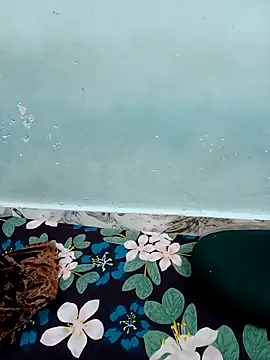 Haniya-143 online show from 12/15/25, 09:42