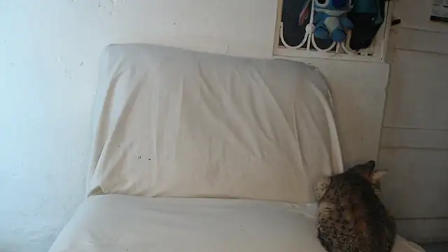 pervertsteens3 online show from 10/24/25, 04:55