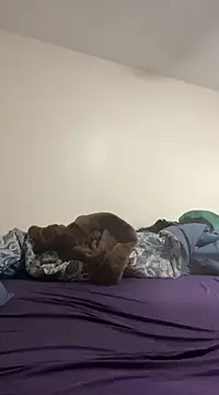 daddymaniaco69 online show from 12/28/24, 04:52