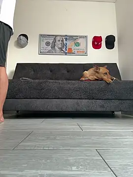 boss of cash online show from 02/27/26, 12:16