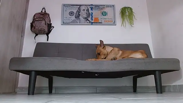 boss of cash online show from 05/31/26, 06:09