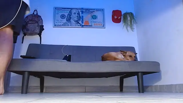 boss of cash online show from 05/14/26, 12:07
