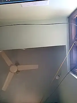 softheart online show from 12/12/24, 05:31